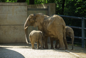 DSC02875.jpg DSC02875.jpg