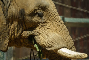 DSC02897.jpg DSC02897.jpg