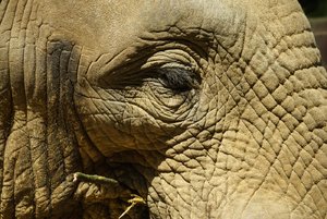 DSC02907.jpg DSC02907.jpg