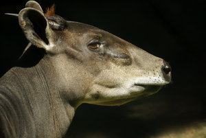 DSC02926.jpg DSC02926.jpg