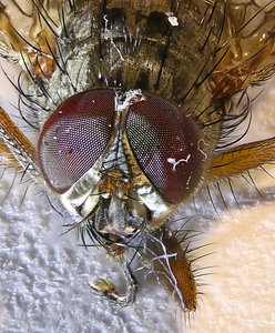 2014-07-02_22-07-30 M=B R=8 S=4-eeeeee2.jpg