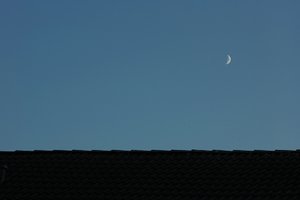 Forum DSC03827 Nex 5r + Canon FD 1,8 85mm SSC psf (c) PPf.jpg Forum DSC03827 Nex 5r + Canon FD 1,8 85mm SSC psf (c) PPf.jpg