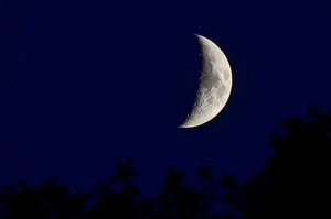 DSC_9390_ji_c.jpg DSC_9390_ji_c.jpg