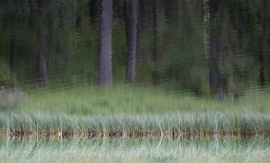 comp_DSC_1169 -2.jpg