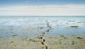 20140704-048-2 bearb..jpg