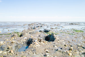 20140704-055 bearb..jpg