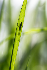 IMG_0937_.jpg IMG_0937_.jpg