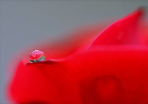 DSC_6594.jpg DSC_6594.jpg