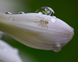 DSC_6630.jpg DSC_6630.jpg