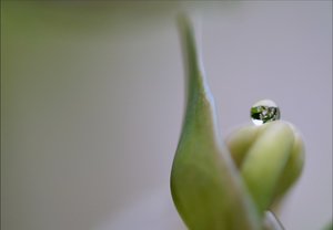 DSC_6615.jpg DSC_6615.jpg