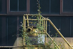 Forum DSC03252  Nex 5r + Hanimex 2,8 135mm (c) PPf.jpg