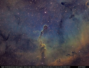 IC1396 Hubble.jpg IC1396 Hubble.jpg
