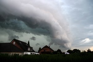 IMG_1371.jpg IMG_1371.jpg