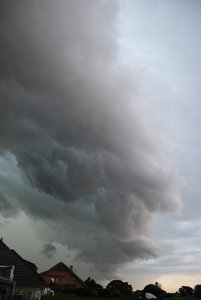 IMG_1381.jpg IMG_1381.jpg