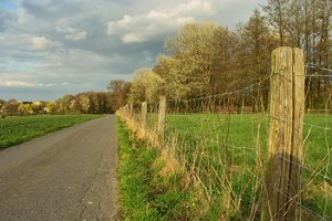 Spaziergang-SD14 - SDIM4485.jpg