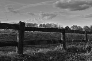 Spaziergang-SD14 - SDIM4497-sw.jpg