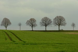Spaziergang-SD14 - SDIM4488.jpg