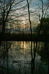 Spaziergang-SD14 - SDIM4507.jpg