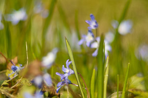 SDIM3530.jpg SDIM3530.jpg