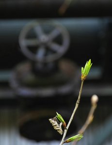 Kokerei-SD10 - IMG06492_1.jpg