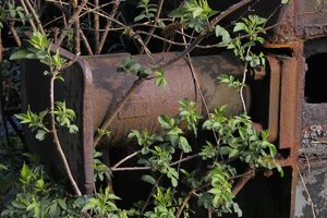 Kokerei-SD10 - IMG06371.jpg