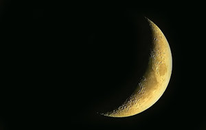 mond509.jpg