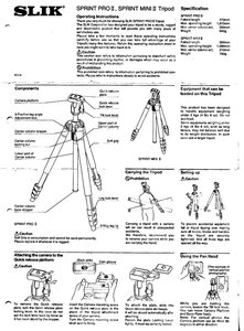 Slik-slik1.jpg Slik-slik1.jpg