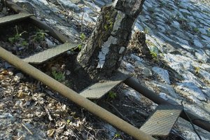 Treppe-SD10 - IMG06741.jpg