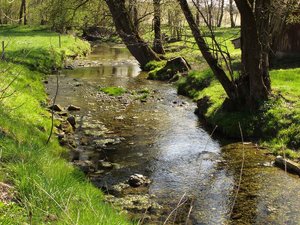 20100424_27.jpg 20100424_27.jpg