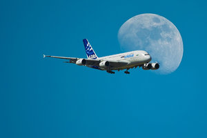 SDIM8033_1-1 2Kopie-1.jpg