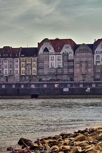 Gestern am Rhein IMG05887 lh (c) PPf.jpg