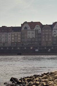 Gestern Originale IMG05887 (c) PPf.jpg