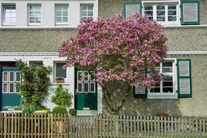 Siedlung2-SD14 - SDIM4972.jpg