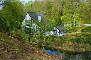 Halbachhammer-SD14 - SDIM4855_1.jpg