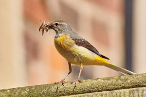 sample 12.JPG sample 12.JPG