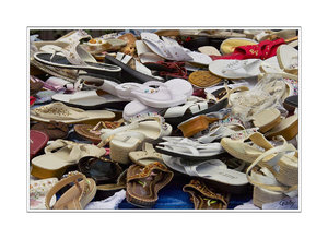 SDIM0001.jpg SDIM0001.jpg