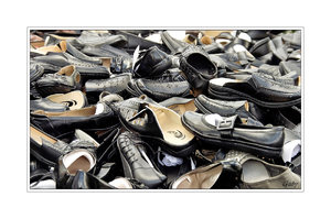 SDIM0002.jpg SDIM0002.jpg