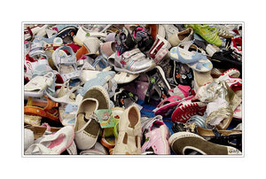 SDIM0003.jpg SDIM0003.jpg