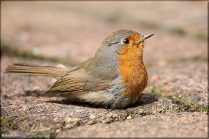 Bild-4.jpg Bild-4.jpg