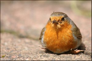 Bild-5.jpg Bild-5.jpg