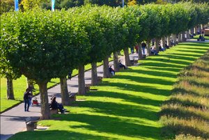 IMG_20131003_194054.jpg IMG_20131003_194054.jpg