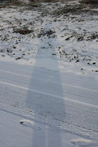 IMG_3488.JPG IMG_3488.JPG