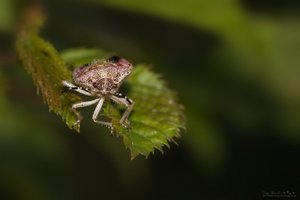 IMG_5786_Bildgröße ändern.jpg