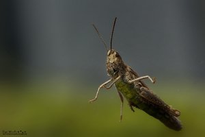 IMG_5733_Bildgröße ändern.jpg