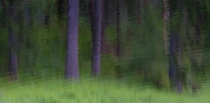 comp_DSC_1169 -2 - Kopie.jpg