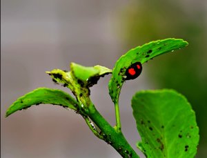 DSC_6941.jpg DSC_6941.jpg