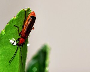 DSC_6942.jpg DSC_6942.jpg