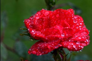 DSC_6850.jpg DSC_6850.jpg