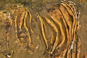 ISL_SDIM6767 Kopie.jpg