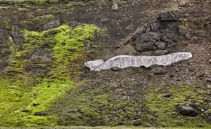 ISL_SDIM6859 Kopie.jpg